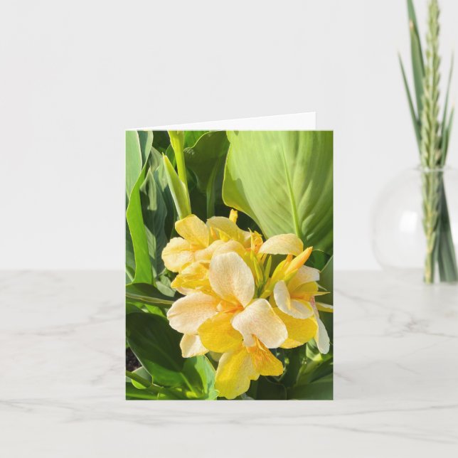 Gult Canna Lily i ett trädgårdsfoto Kort (Framsida)