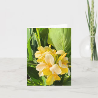 Gult Canna Lily i ett trädgårdsfoto Kort