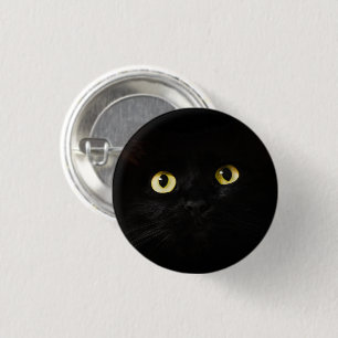 Gult Cat Öga, Black Cat, Black Background Knapp