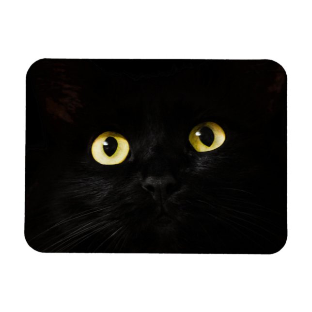 Gult Cat Öga, Black Cat, Black Background Magnet (Horisontell)