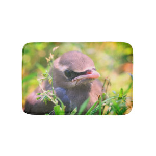 Gult Cedar Waxwing Fledgling Bird Badrumsmatta