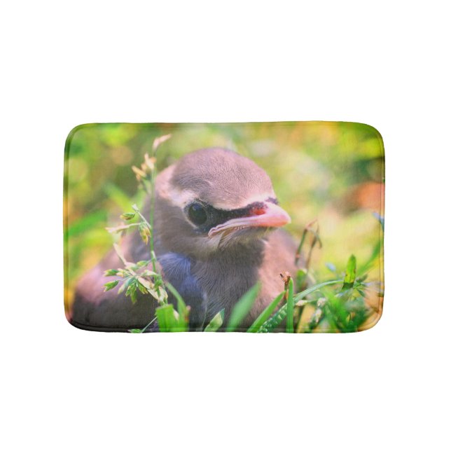 Gult Cedar Waxwing Fledgling Bird Badrumsmatta (Framsidan)