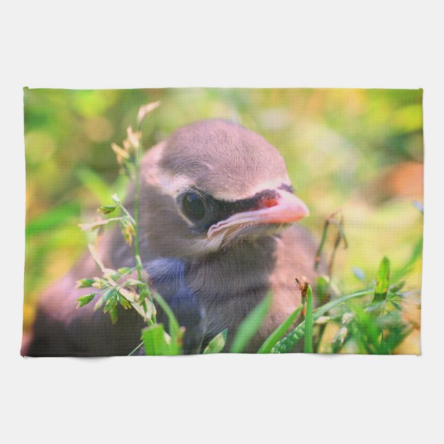 Gult Cedar Waxwing Fledgling Bird Kökshandduk (Horisontell)