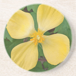 Gult Celandine Poppy Blommigt Underlägg