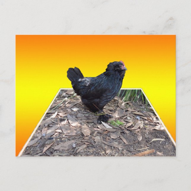Gult Chicken Pop Out Art-vykort Vykort (Framsida)