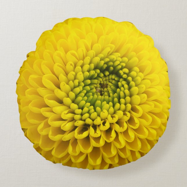 Gult Chrysanthemum Flower Rund Kudde (Framsidan)