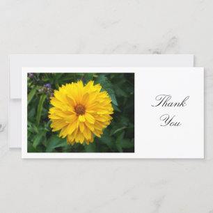 Gult Chrysanthemum - Tack Kort