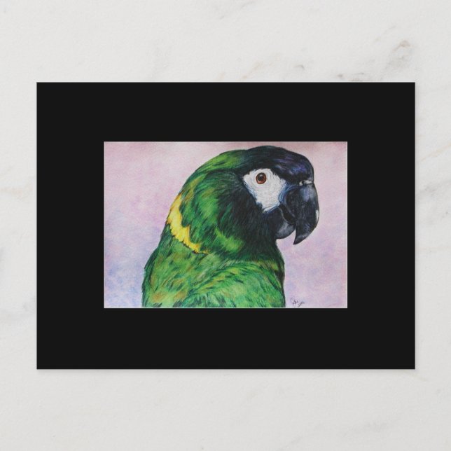 Gult Collated Macaw ACEO Art Trading Card Vykort (Framsida)