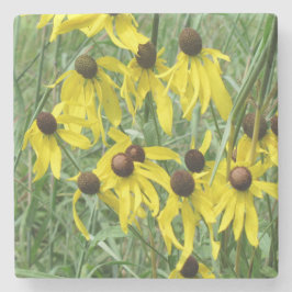 Gult Coneflowers Stenunderlägg