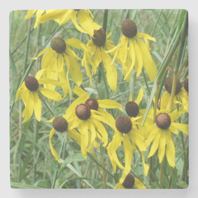 Gult Coneflowers Stenunderlägg (Framsidan)