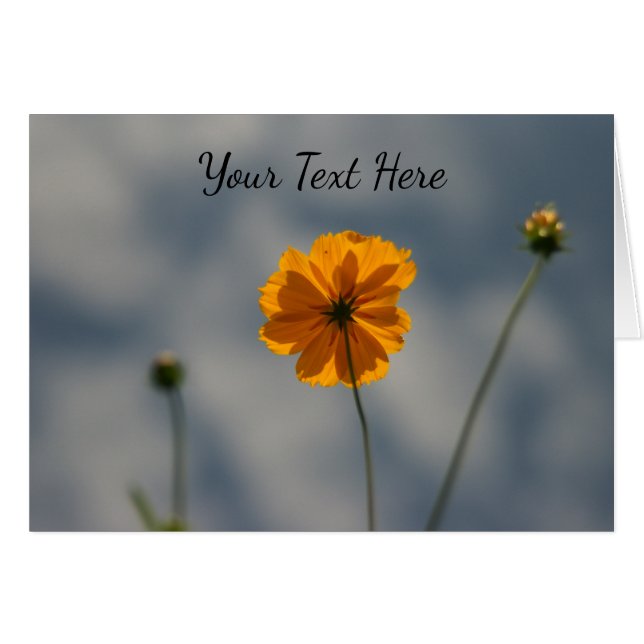 Gult Coreopsis Hälsningskort (Framsidan Horizontal)