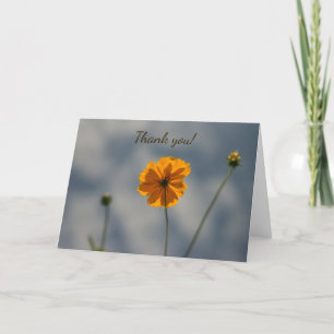 Gult Coreopsis Tack Kort