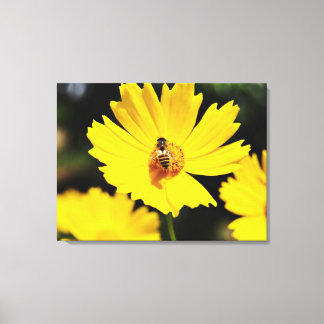 Gult Cosmos Flower och Bee Canvastryck