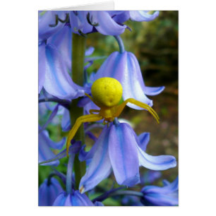 Gult Crab/Flower Spider Hälsningskort