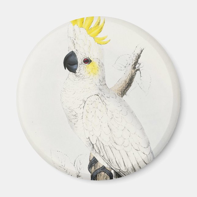 Gult Crested Cockatoo Magnet (Framsidan)