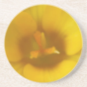 Gult Crocus Flower Underlägg