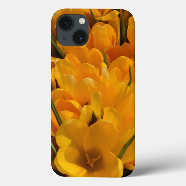 Gult Crocuses - Lycklig Blommigt Heralds of Vår (Baksida)