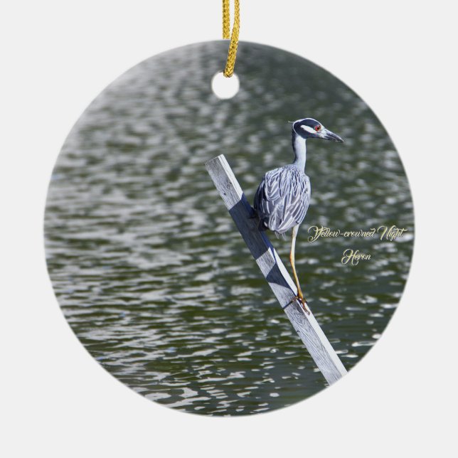 Gult-Crowned Night Heron Ornament (Framsidan)