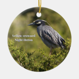 Gult-Crowned Night Heron Ornament