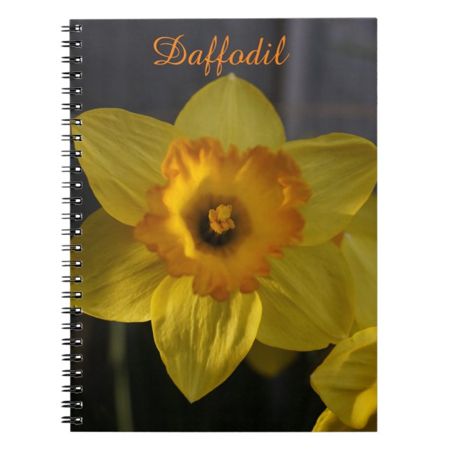 Gult Daffodil Anteckningsbok (Framsidan)
