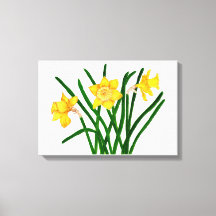 Gult Daffodil Blommigt Vattenfärgsfärg