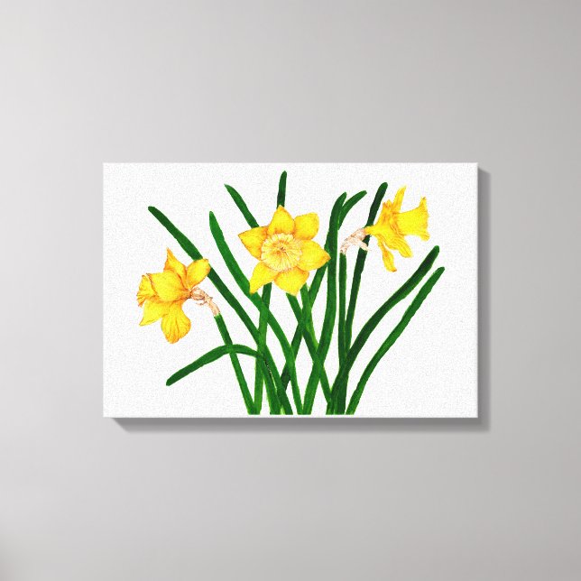 Gult Daffodil Blommigt Vattenfärgsfärg Canvastryck (Framsida)