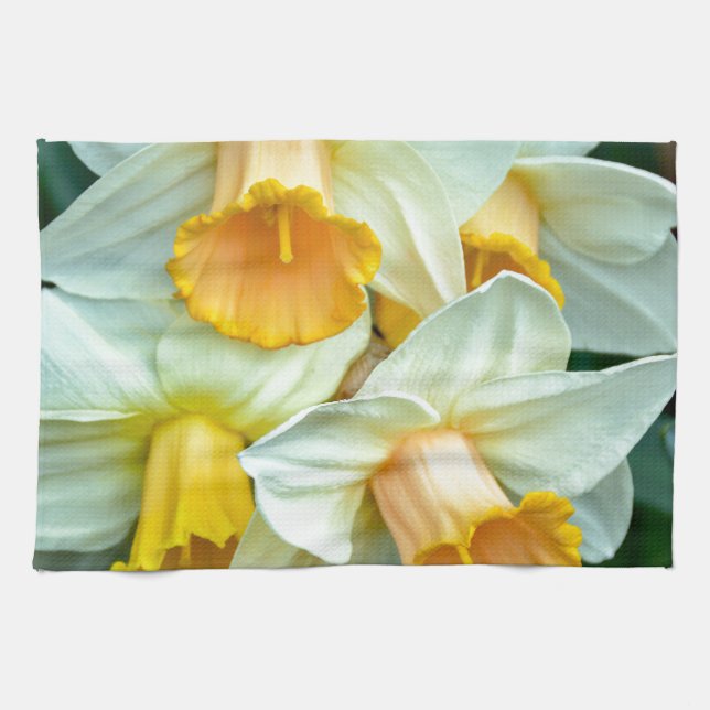 Gult Daffodil-blommor Kökshandduk (Horisontell)