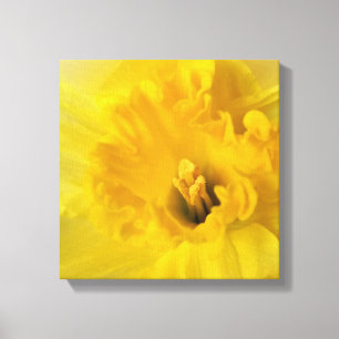 gult daffodil canvastryck