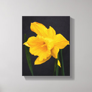 Gult Daffodil Canvastryck