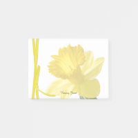 Gult Daffodil Floral Photography