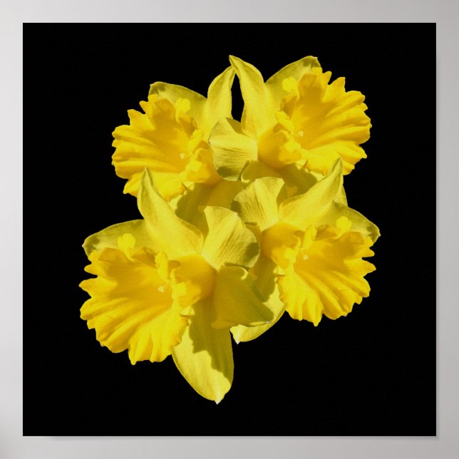 Gult Daffodil Flowers Bouquet Poster (Framsidan)