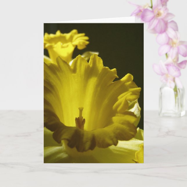 Gult Daffodil Flowers Kort (Orkide)