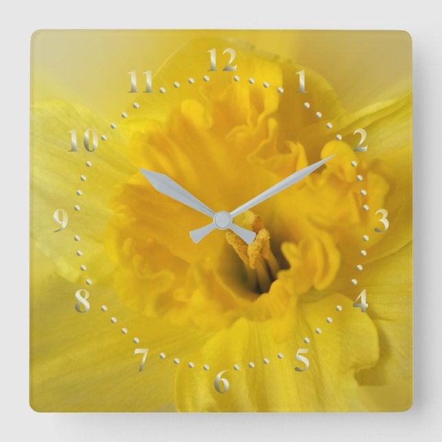 gult daffodil fyrkantig klocka (Framsida)