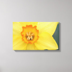 Gult Daffodil Kanvastryck