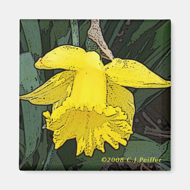 gult Daffodil Magnet (Framsidan)