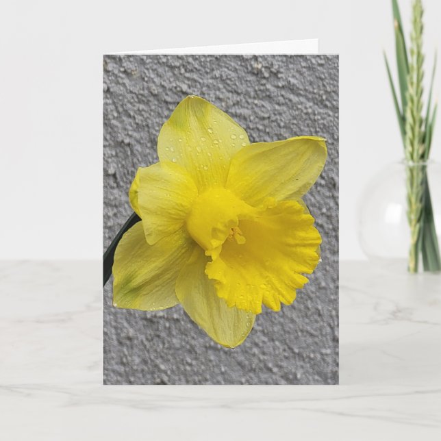 Gult Daffodil Mors dag-kort Kort (Framsida)