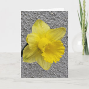 Gult Daffodil Mors dag-kort Kort