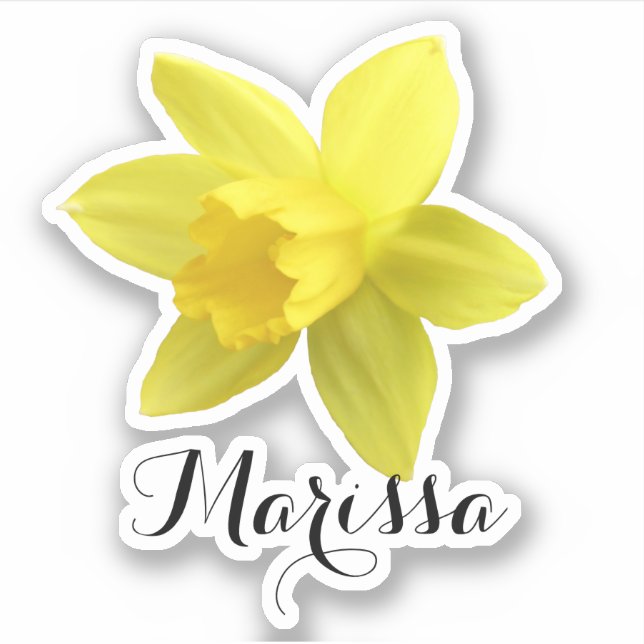 Gult Daffodil Namn Klistermärken (Framsida)