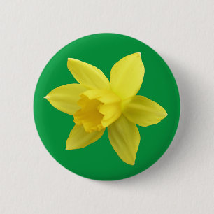 Gult Daffodil på Grönt Knapp