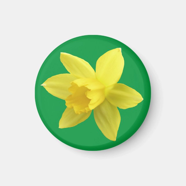 Gult Daffodil på Grönt Magnet (Framsidan)