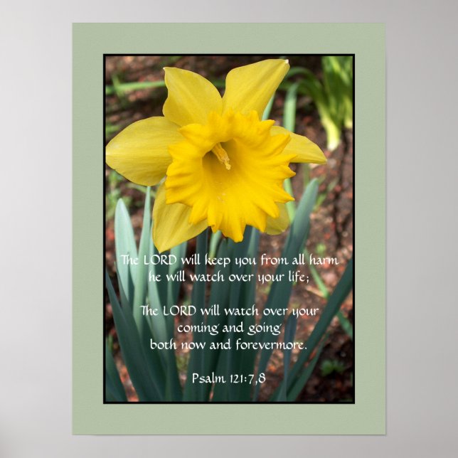 Gult Daffodil ~ Psalm 121:7,8 Poster (Framsidan)