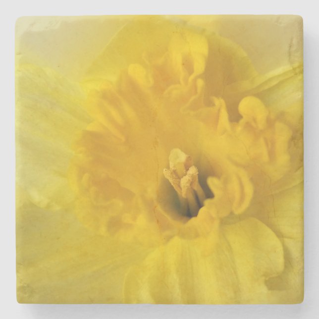 gult daffodil stenunderlägg (Framsidan)