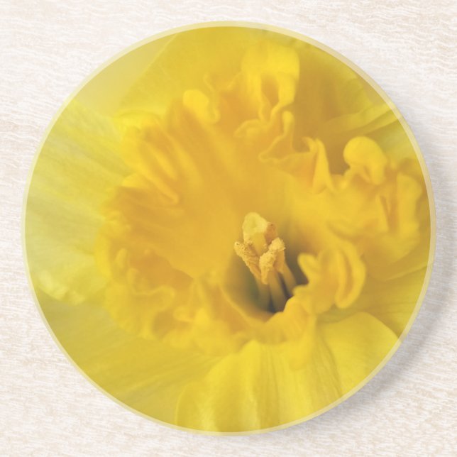 gult daffodil underlägg (Framsidan)