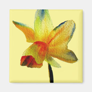 Gult Daffodil vattenfärgskonst Vår Blommor Magnet