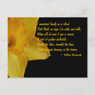 Gult Daffodil; William Wordsworth Dikt Postcard Vykort