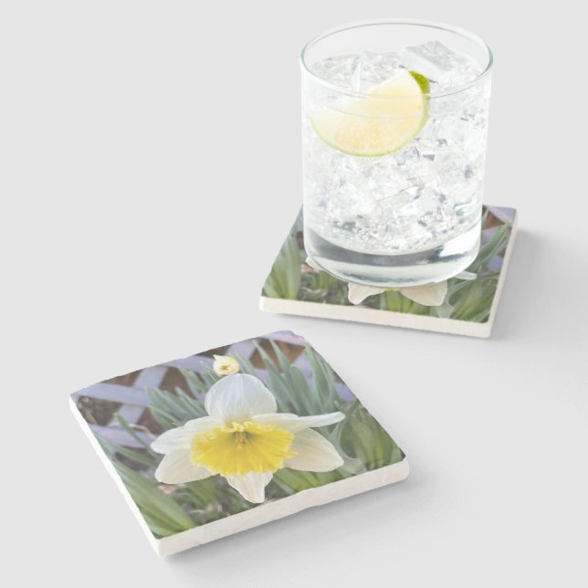 Gult Daffodils#1 Stenunderlägg (Sidan)