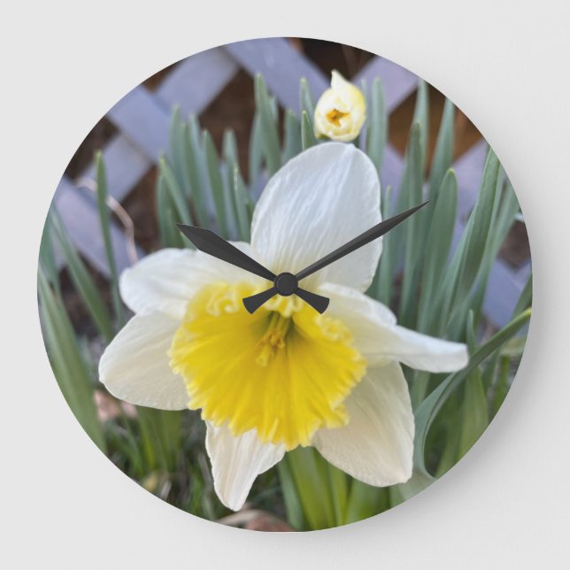 Gult Daffodils #1 Stor Klocka (Framsida)