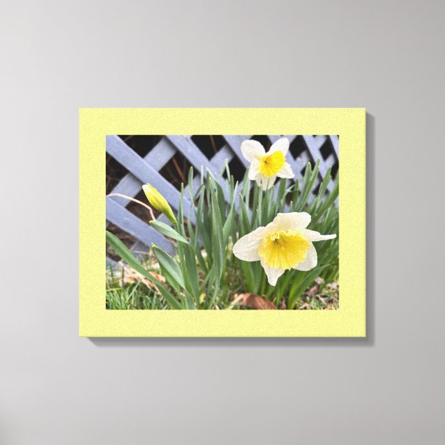 Gult Daffodils #2 Canvastryck (Framsida)