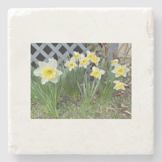 Gult Daffodils#3 Stenunderlägg (Framsidan)