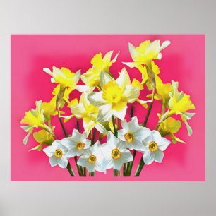 Gult Daffodils and White Narcissi Viva Magenta Poster
